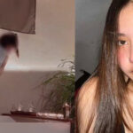 ฝรั่งทีเด็ดฟินหี