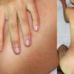 คลิปโป๊ไทยทางบ้าน สาวไทยรูหีใหญ่ ๆ 18+ สาวไทยรูหีใหญ่ ๆ